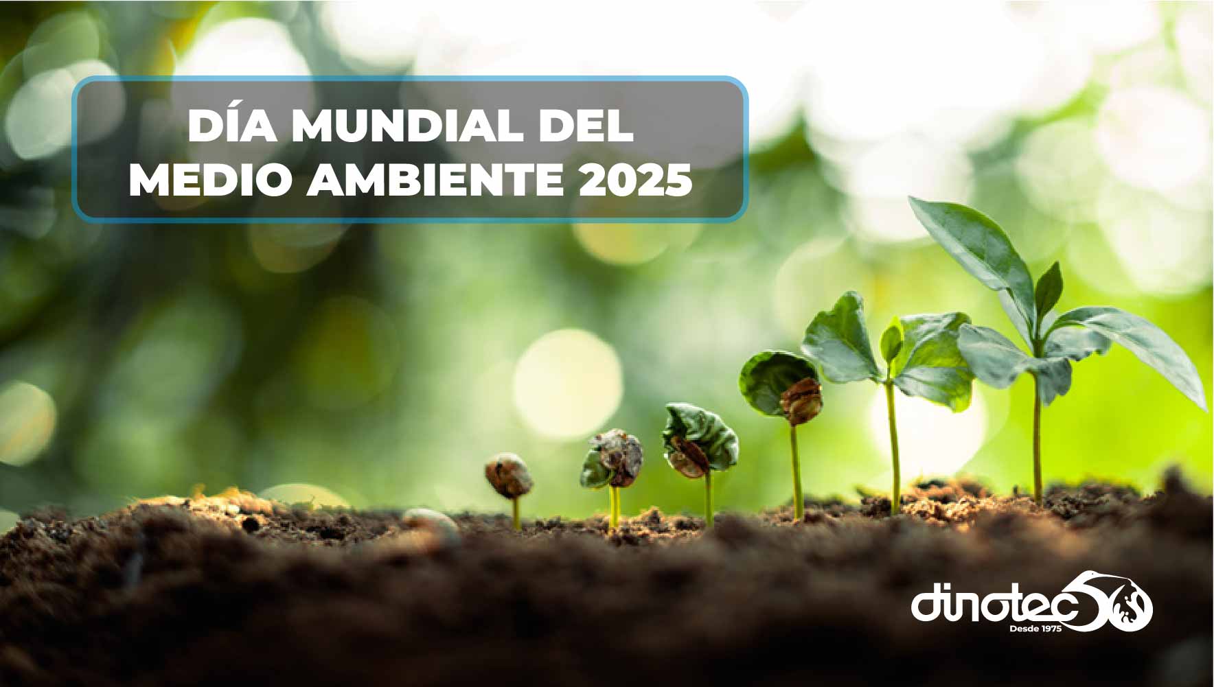 Día Mundial del Medio Ambiente 2025