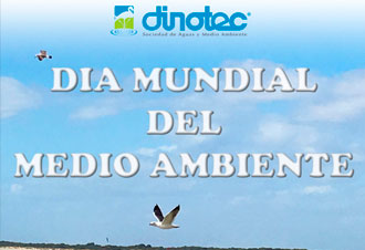 Día Mundial del Medio Ambiente con ave volando