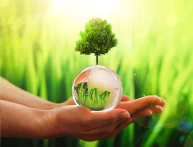 Manos sosteniendo esfera con árbol y césped